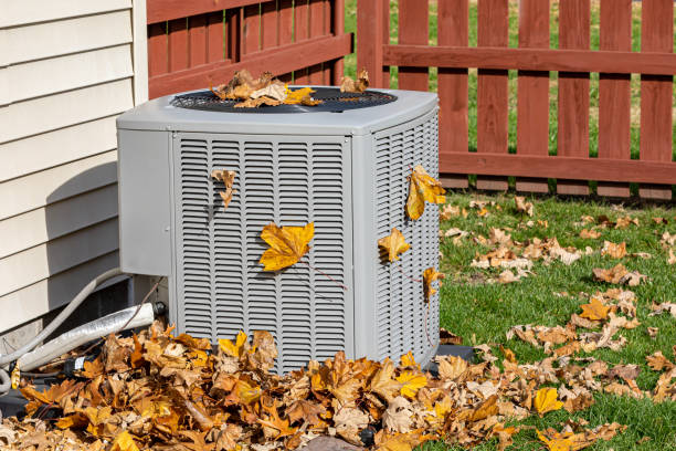 Professional HVAC in Griggsville, IL