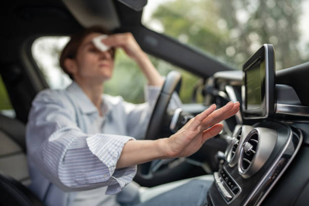 Best Affordable Air Conditioning Repair  in Griggsvle, IL